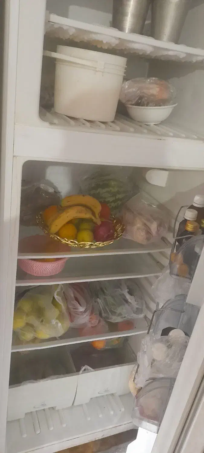 دوتا یخچال بادی|یخچال و فریزر|باوی, |دیوار