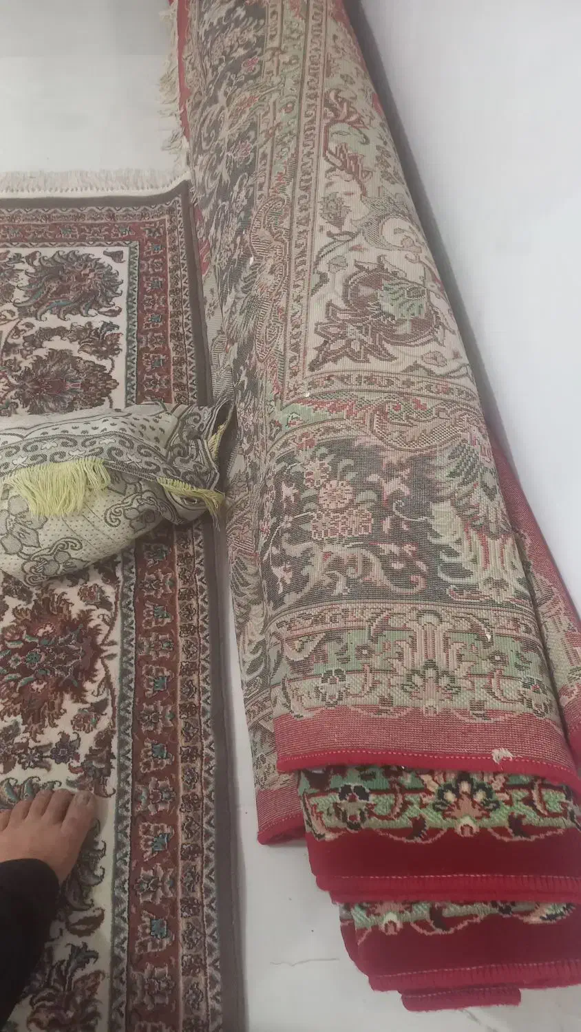 فرش قرمز ۱۲متری ۲تا|فرش|القجر, |دیوار