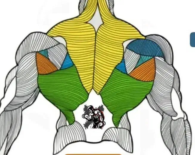 استخدام مربی بدنسازی و حرکات اصلاحی|استخدام آموزشی|دزفول, |دیوار