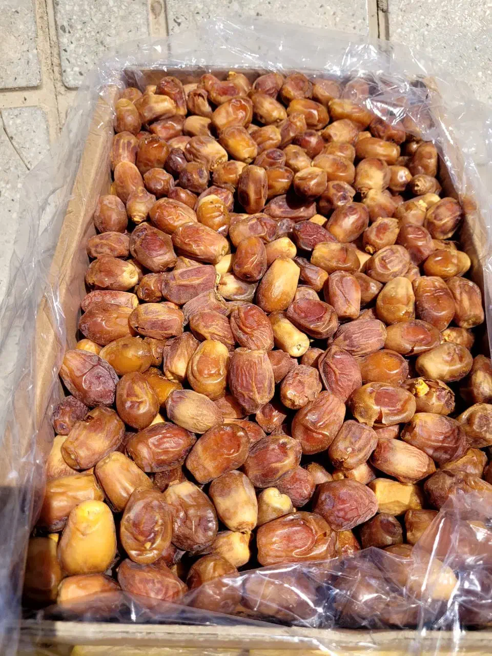 خرمازاهدی شیراز|خدمات باغبانی و درختکاری|زاهدان, |دیوار