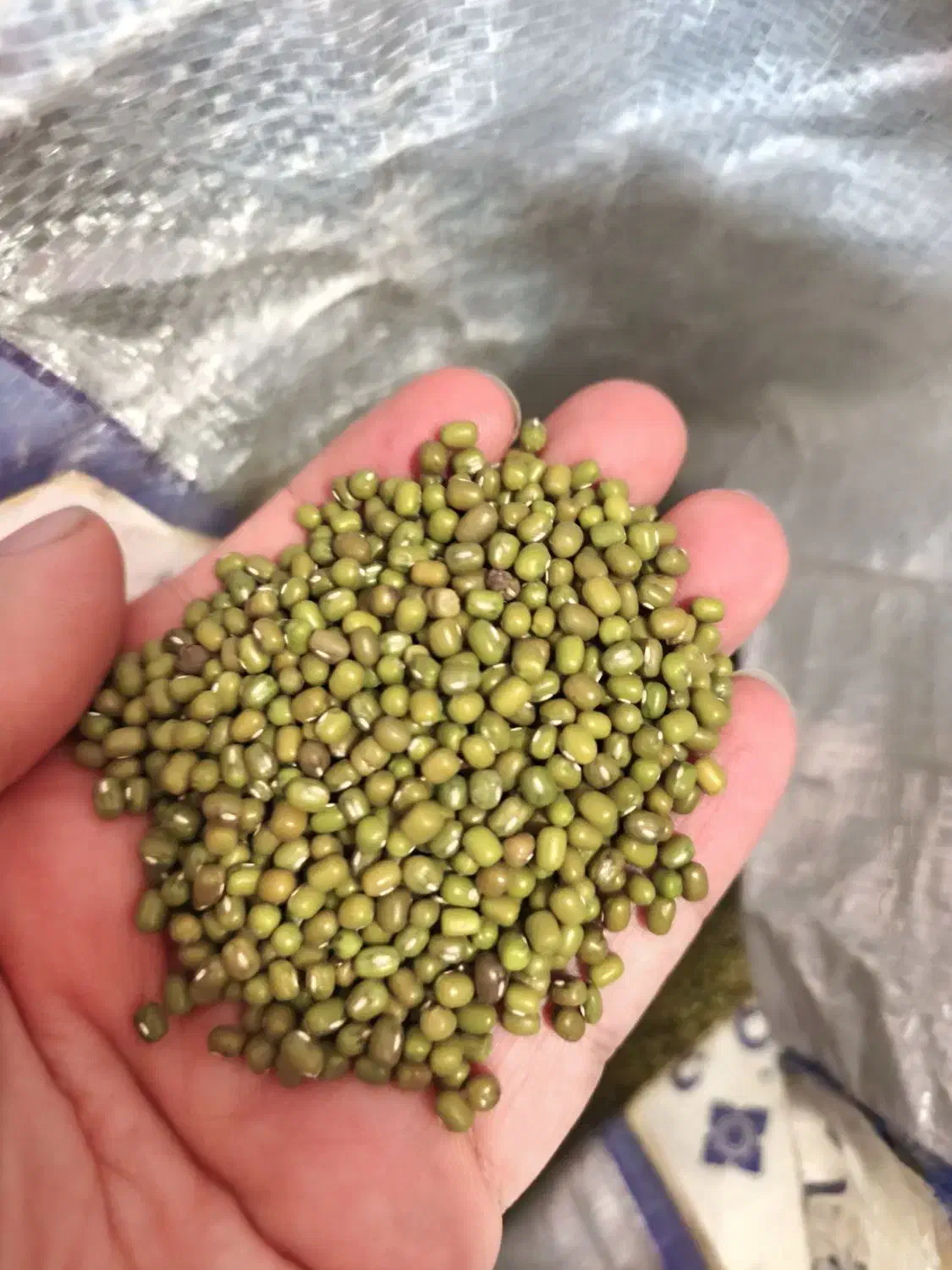 ماش|خوردنی و آشامیدنی|اهواز, کیانپارس |دیوار