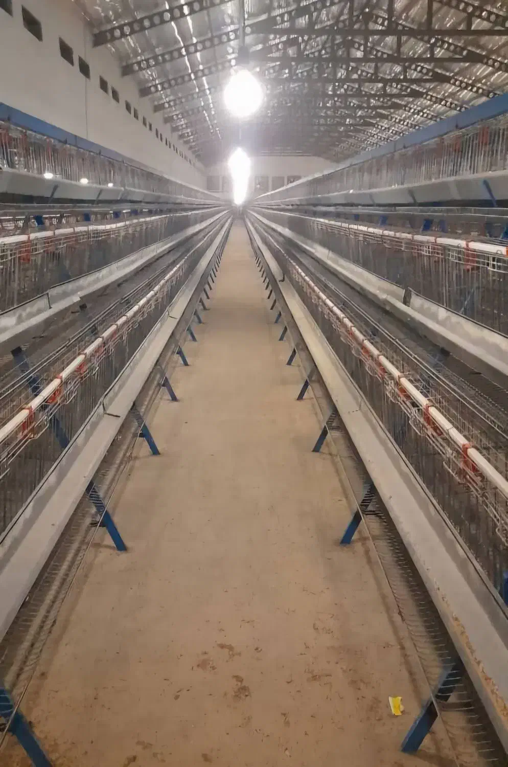 قفس مرغ تخم گذار|فروشگاه و مغازه|قزوین, |دیوار