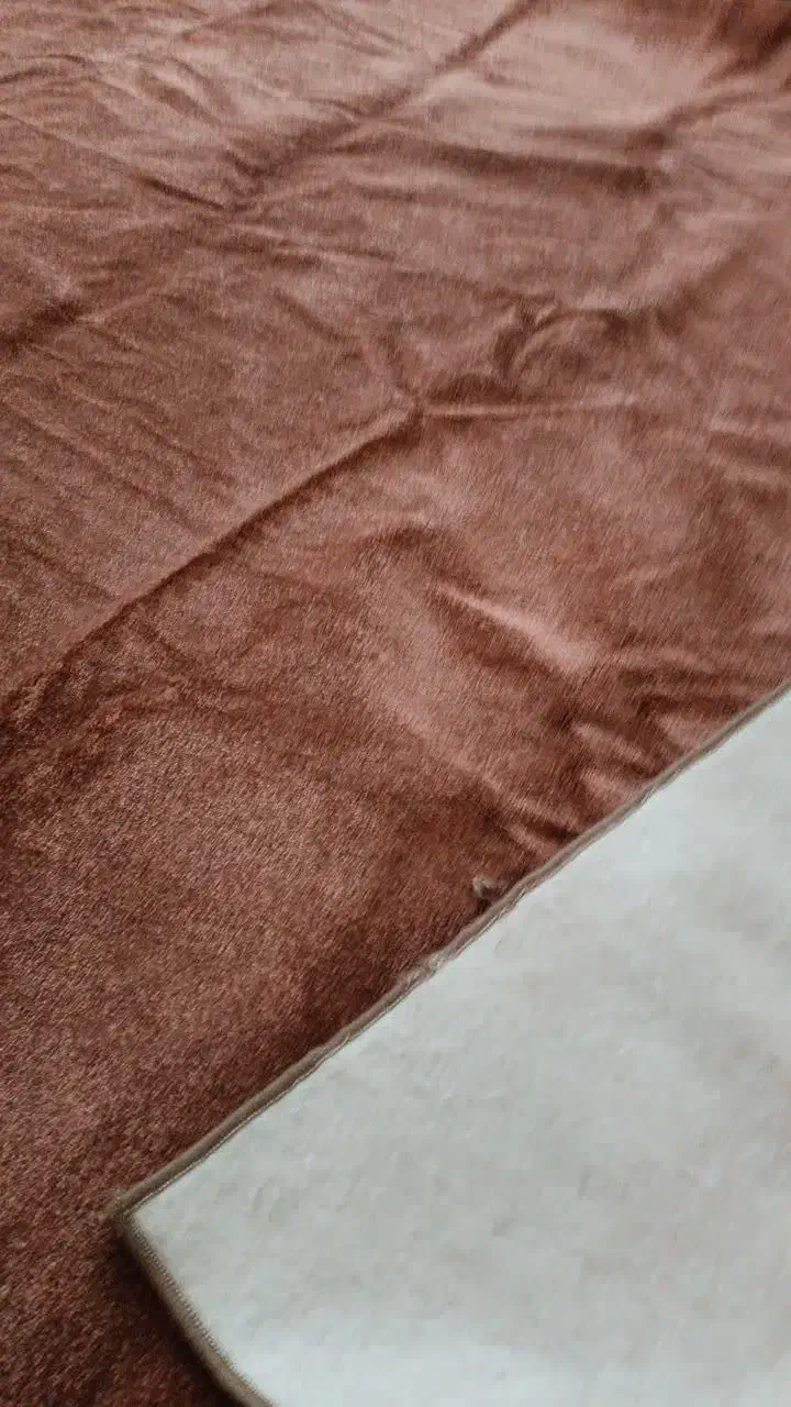 پالاز موکت|موکت|استهبان, |دیوار