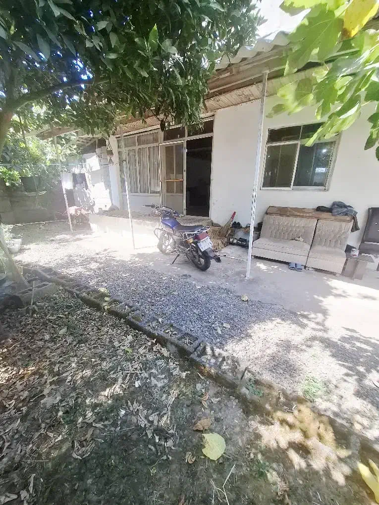 ویلا جنگلی با ساحل ۸دقیقه|فروش خانه و ویلا|رشت, بازار|دیوار