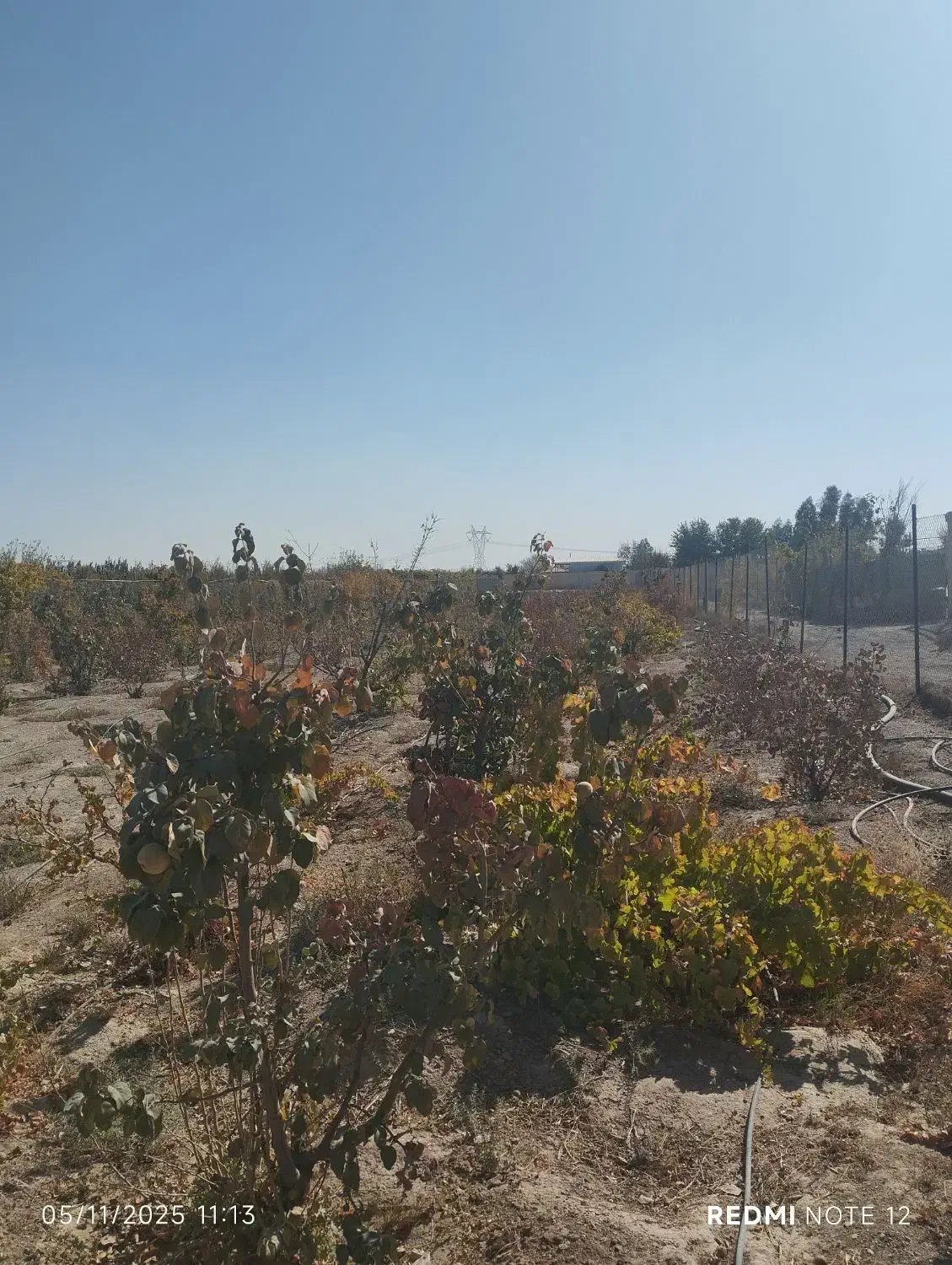 باغ|فروش خانه و ویلا|شاهین‌شهر, فرودگاه هسا|دیوار