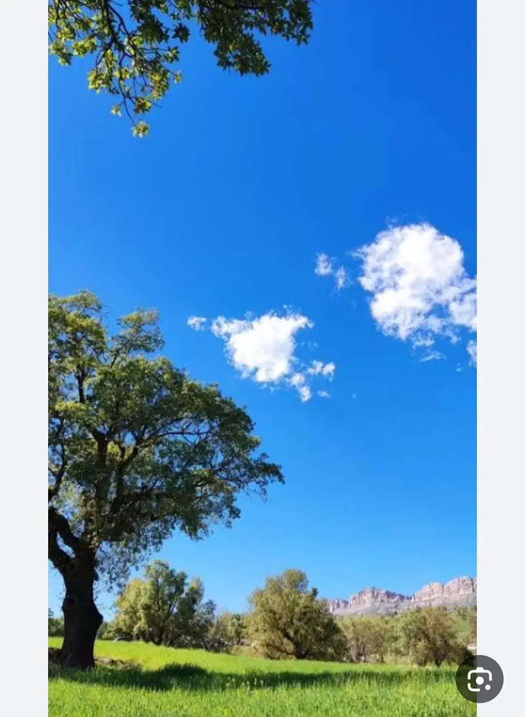 حراج حراج ش غ ل|حراج|نرماشیر, |دیوار