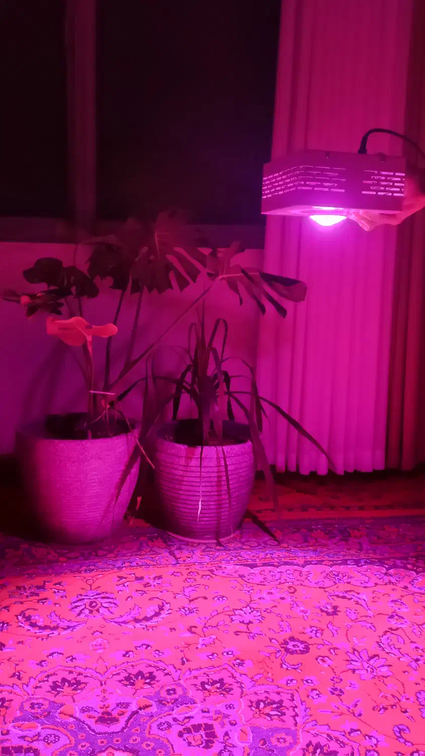 پروژکتور(لامپ)مخصوص رشدگیاه فول اسپکتروم مولتی چیپ|لامپ و چراغ|رودسر, |دیوار