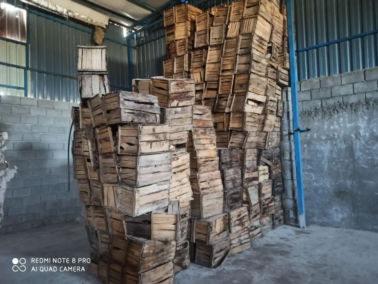 سبد چوبی مخصوص میوه|عمدهفروشی|جهرم, |دیوار