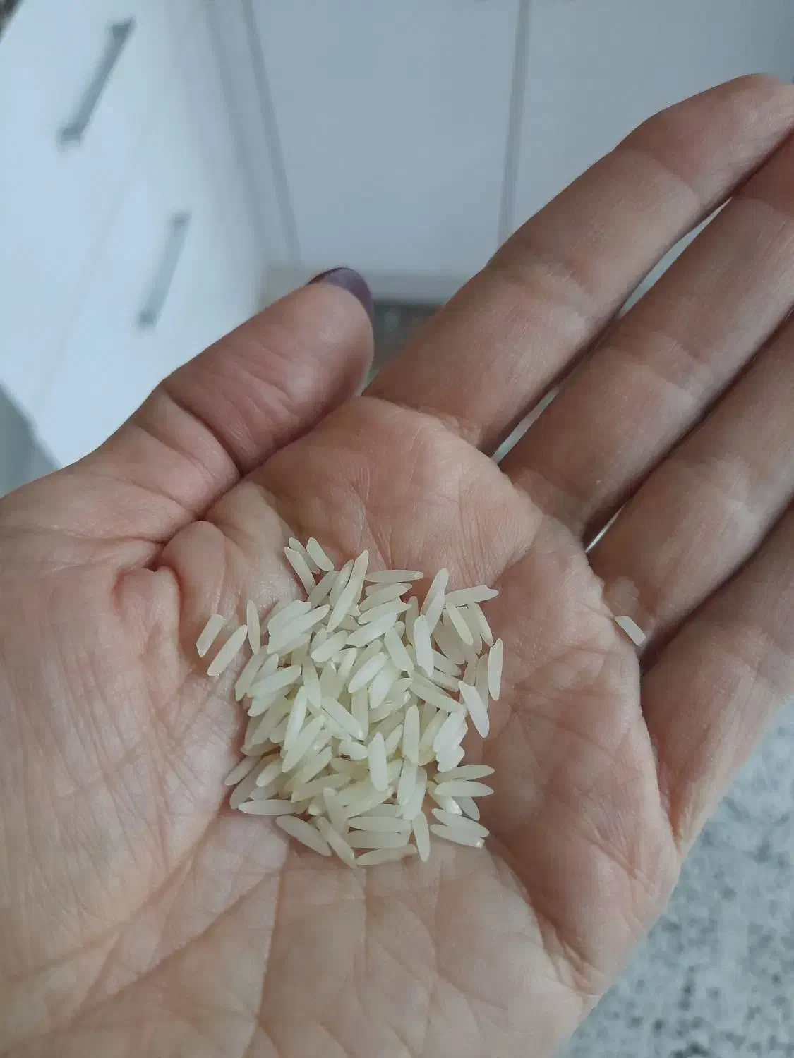 برنج ایرانی طارم مازندران|خوردنی و آشامیدنی|پرند, فاز ۵|دیوار