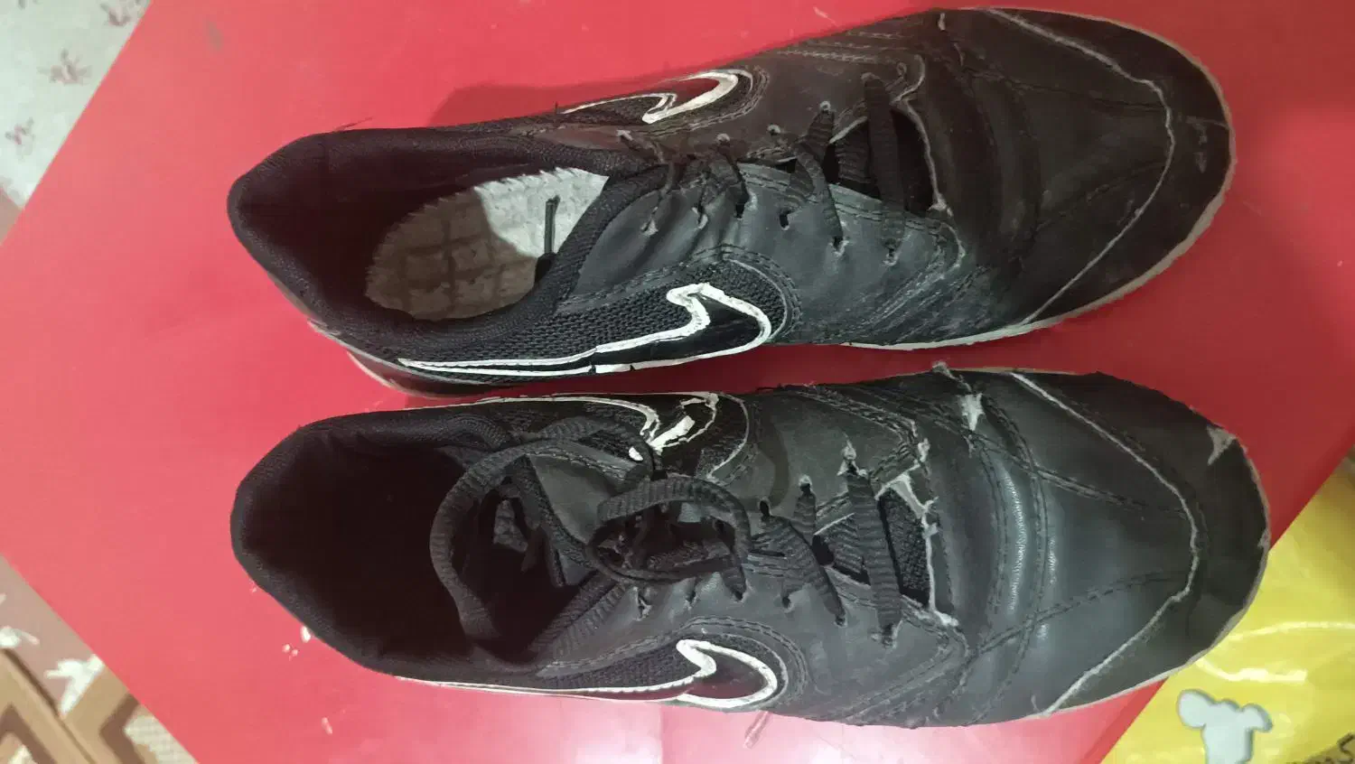 کفش سالنی|کیف، کفش، کمربند|برخوار, |دیوار