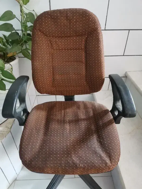 صندلی|صندلی و نیمکت|فسا, |دیوار