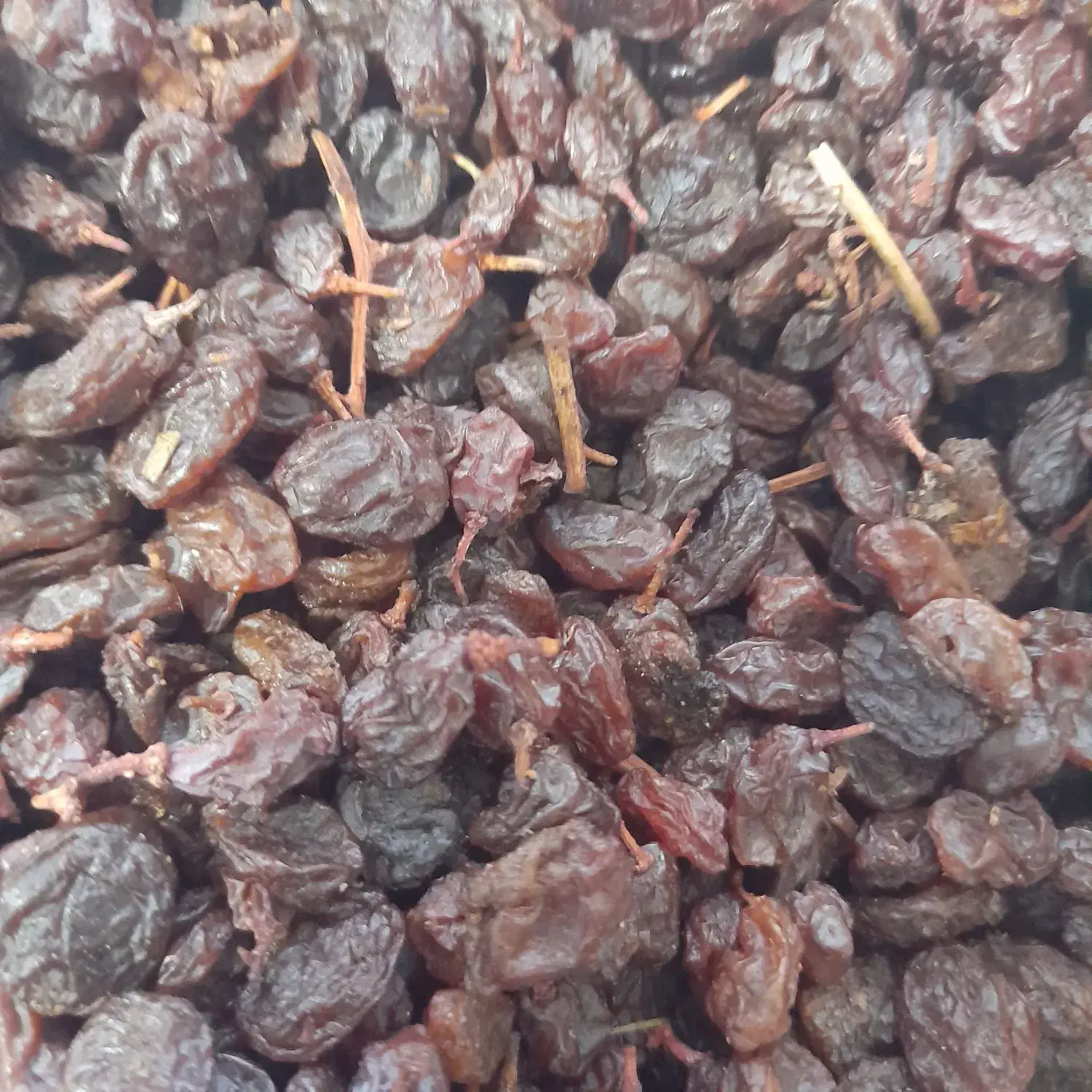 کشمش با کیفیت ممتاز|خوردنی و آشامیدنی|لاهیجان, کوی آزادگان|دیوار