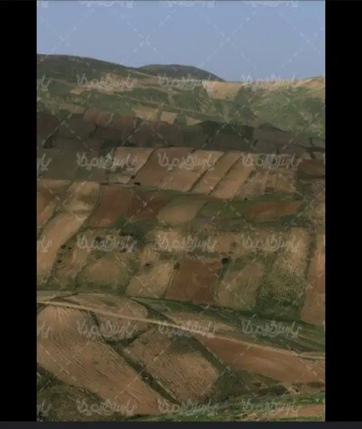 فروش زمین کشاورزی|فروش زمین و ملک کلنگی|اسلام آباد, |دیوار