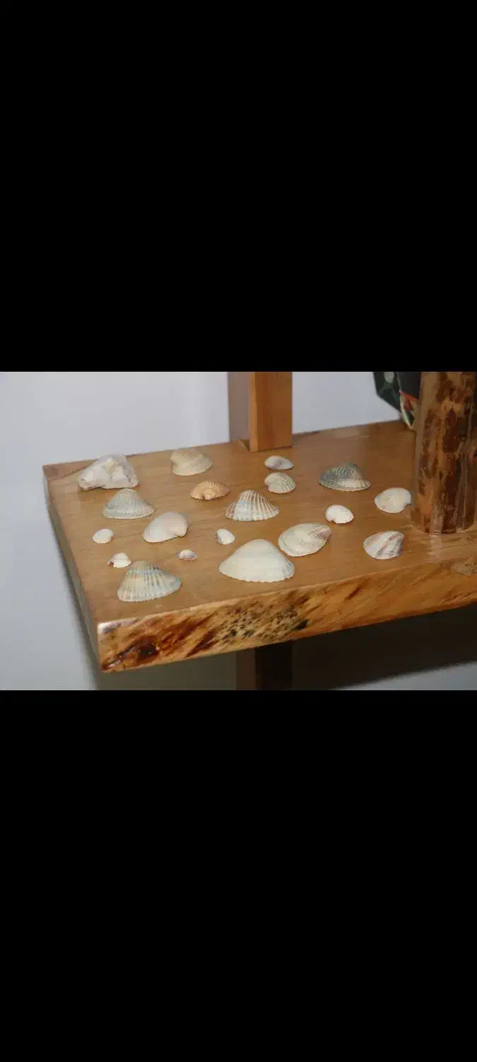 کتاب خانه چوبی|کتابخانه، شلف، قفسه‌های دیواری|طرقبه, |دیوار