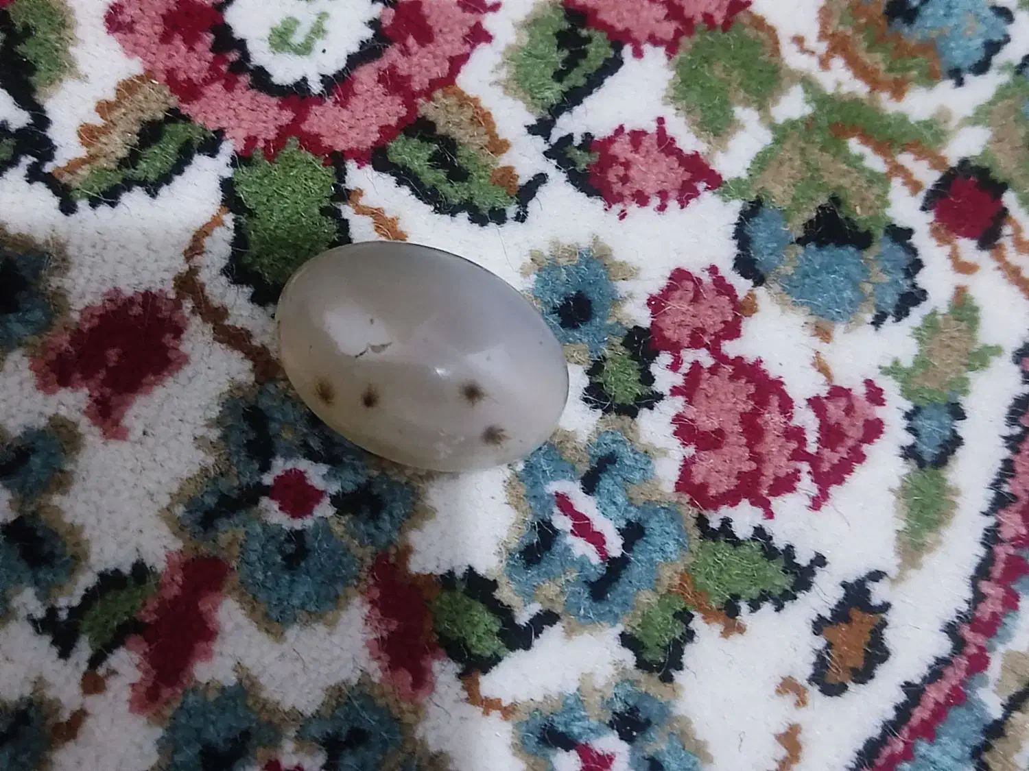 نگین شجر|جواهرات|جیرفت, |دیوار