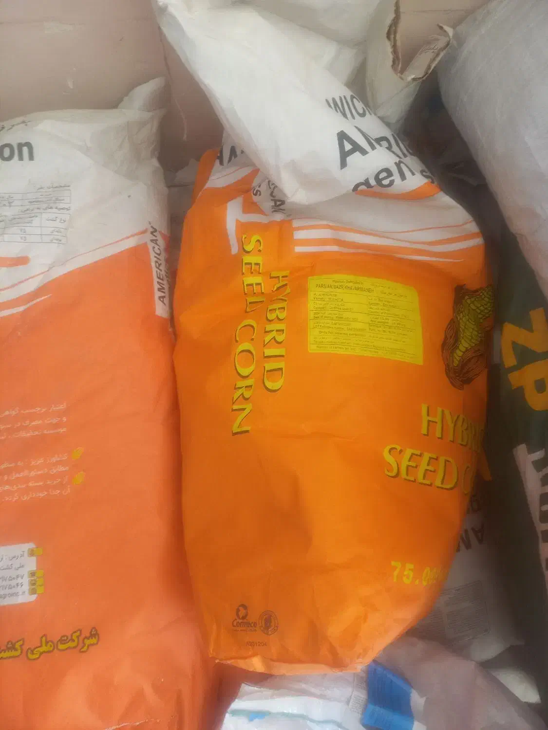 فروش ویژه بذر ذرت علوفه با قیمت و کیفیت|عمدهفروشی|سبزوار, هویزه|دیوار