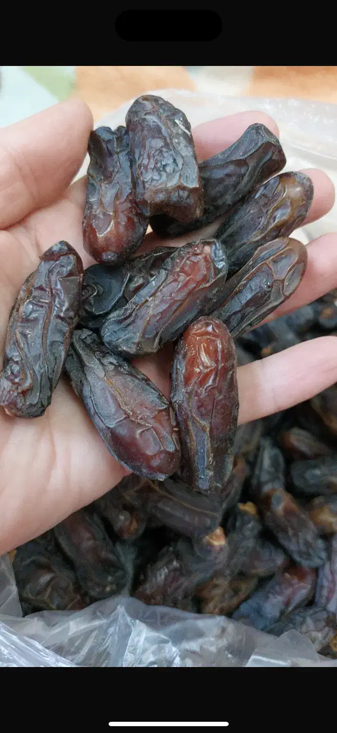 خرما درجه یک صادراتی|خوردنی و آشامیدنی|شیراز, چنچنه|دیوار