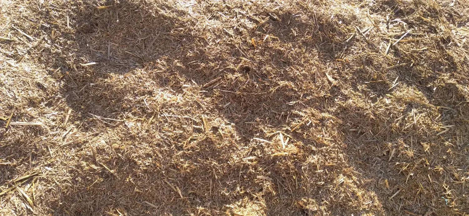 کاه گندم|عمده‌فروشی|قیدار, |دیوار