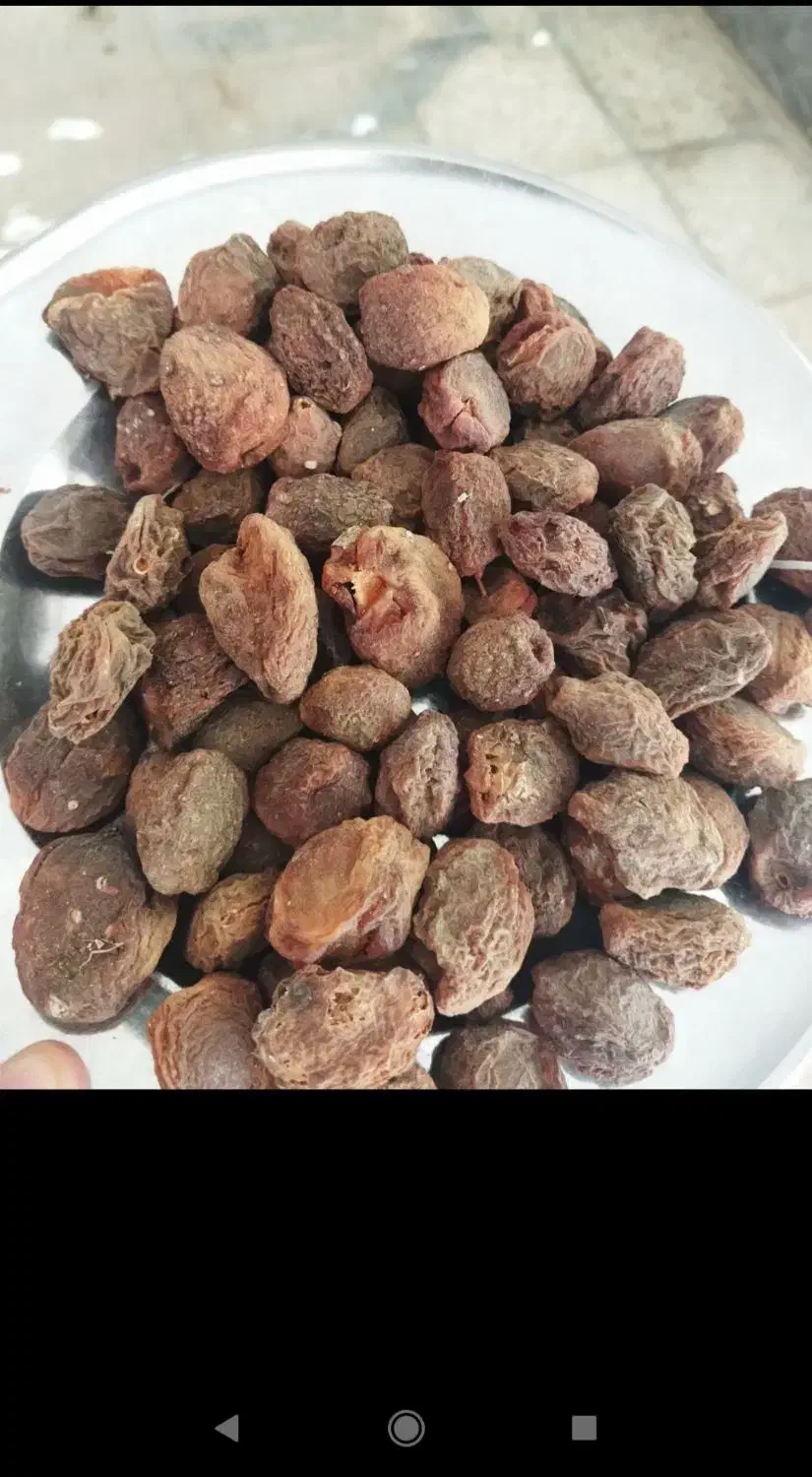 سلامزردالوپیوندیشیرین|خوردنی و آشامیدنی|اسلامشهر, شهرک قائمیه|دیوار