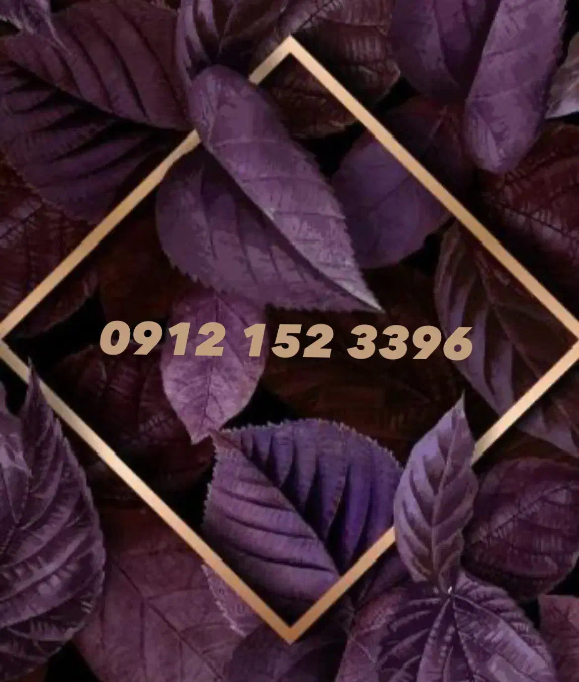 0912.152.3396|سیم‌کارت|قم, شهرک قدس|دیوار