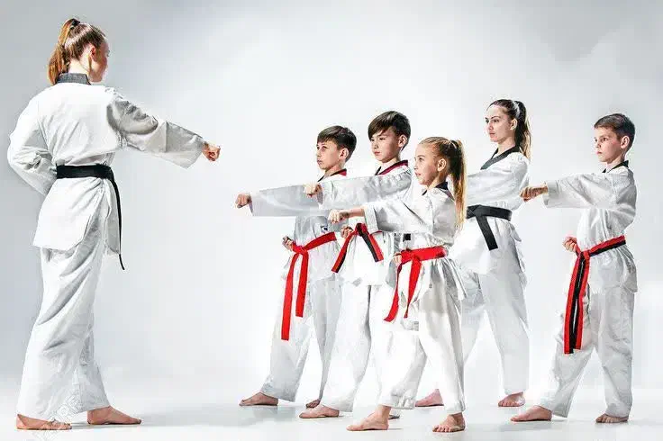 ثبت نام پاییزه تکواندو و ژیمیناستیک|خدمات آموزشی|بیرجند, |دیوار