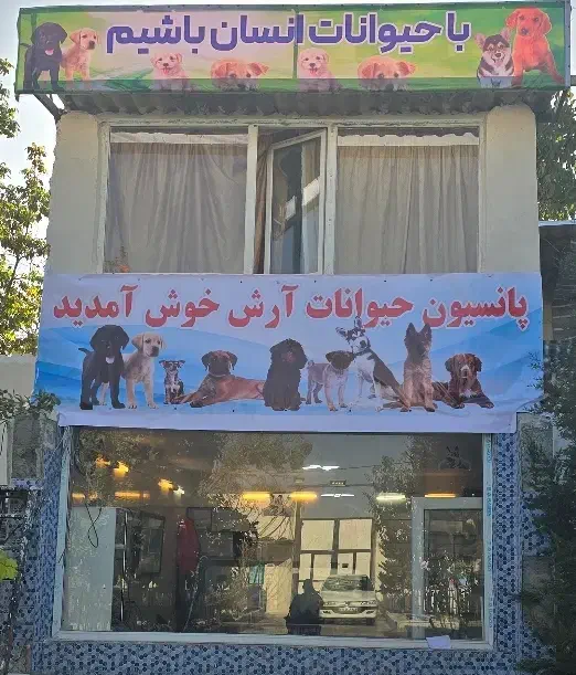 کارگر پانسیون سگ با جایی خواب|استخدام سرایداری و نظافت|شهریار, یوسف آباد صیرفی|دیوار