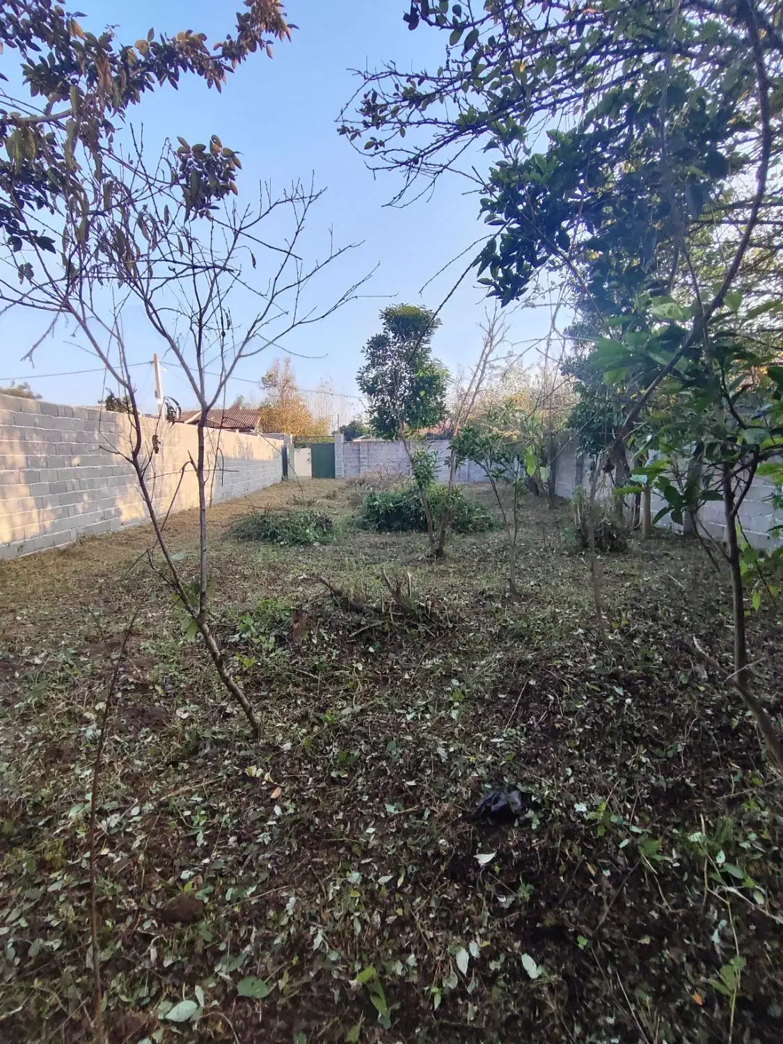 زمین فروشی یا معاوضه باخودروهم قیمت یاپایینترمیکنم|فروش زمین و ملک کلنگی|رشت, استادسرا|دیوار