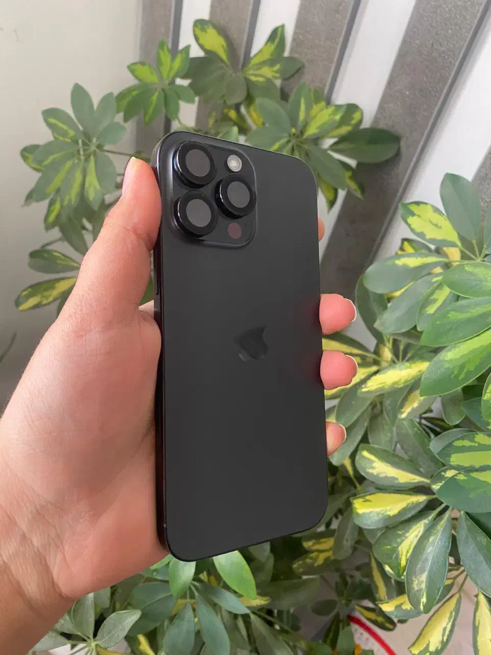 Iphoen 16 pro max|موبایل|شیراز, فرهنگ شهر|دیوار