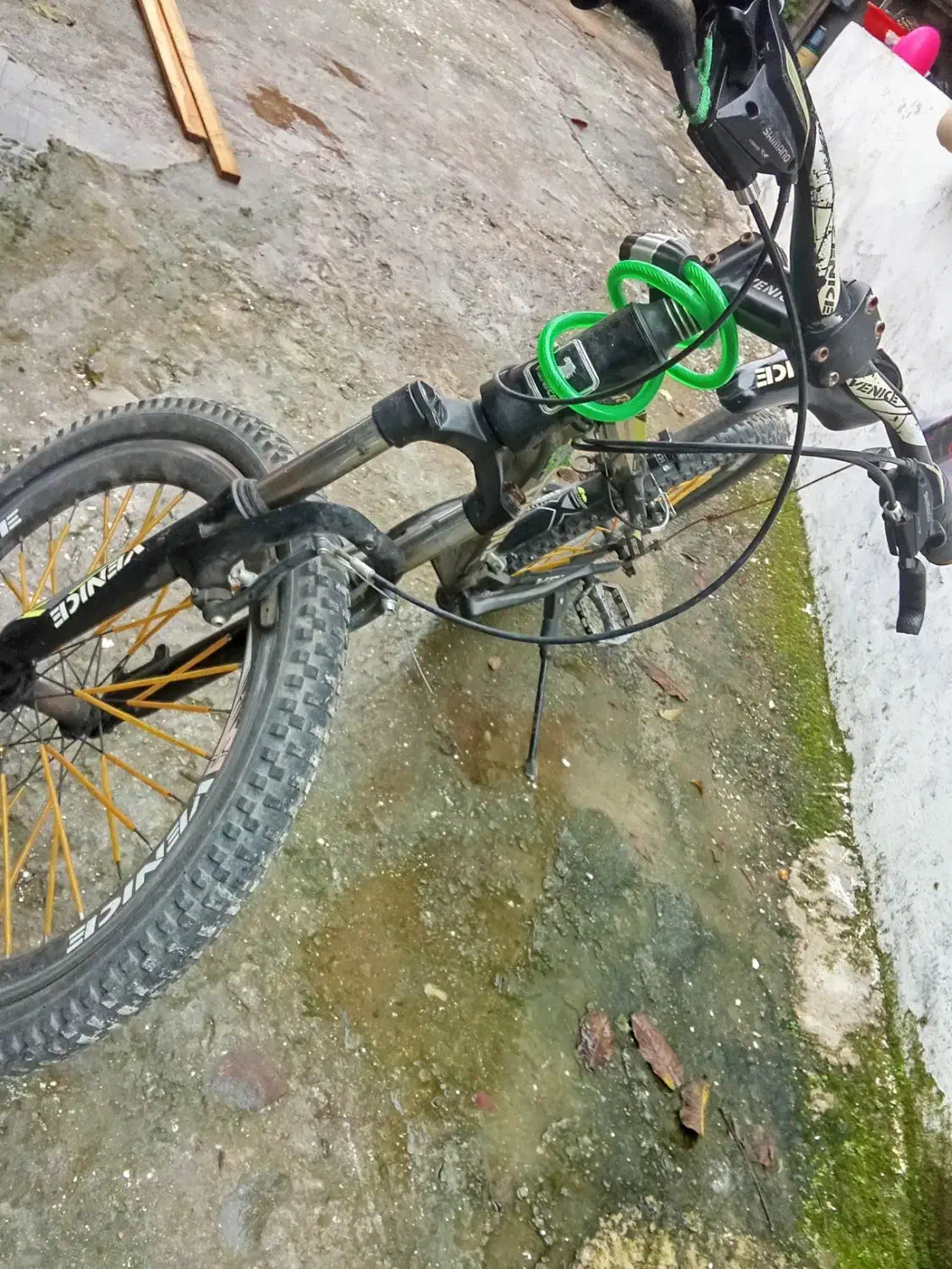 دوچرخه زیر قیمت فوری|دوچرخه، اسکیت، اسکوتر|بندر انزلی, چهارفریضه|دیوار