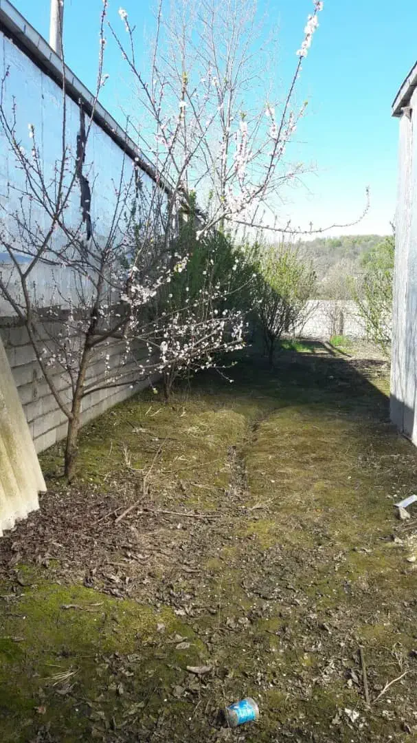 ۲۹۰ متر باغ (قابل ساخت) دارای ویو بی نظیر|فروش زمین و ملک کلنگی|شیرگاه, |دیوار