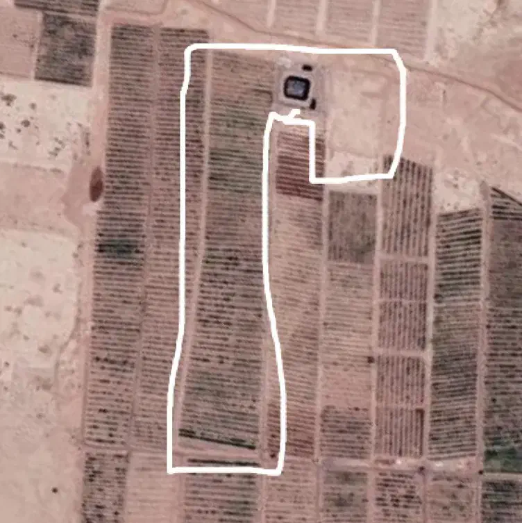 2000قصب باغ پسته احمد آقایی|فروش دفتر صنعتی، کشاورزی، تجاری|کرمان, |دیوار