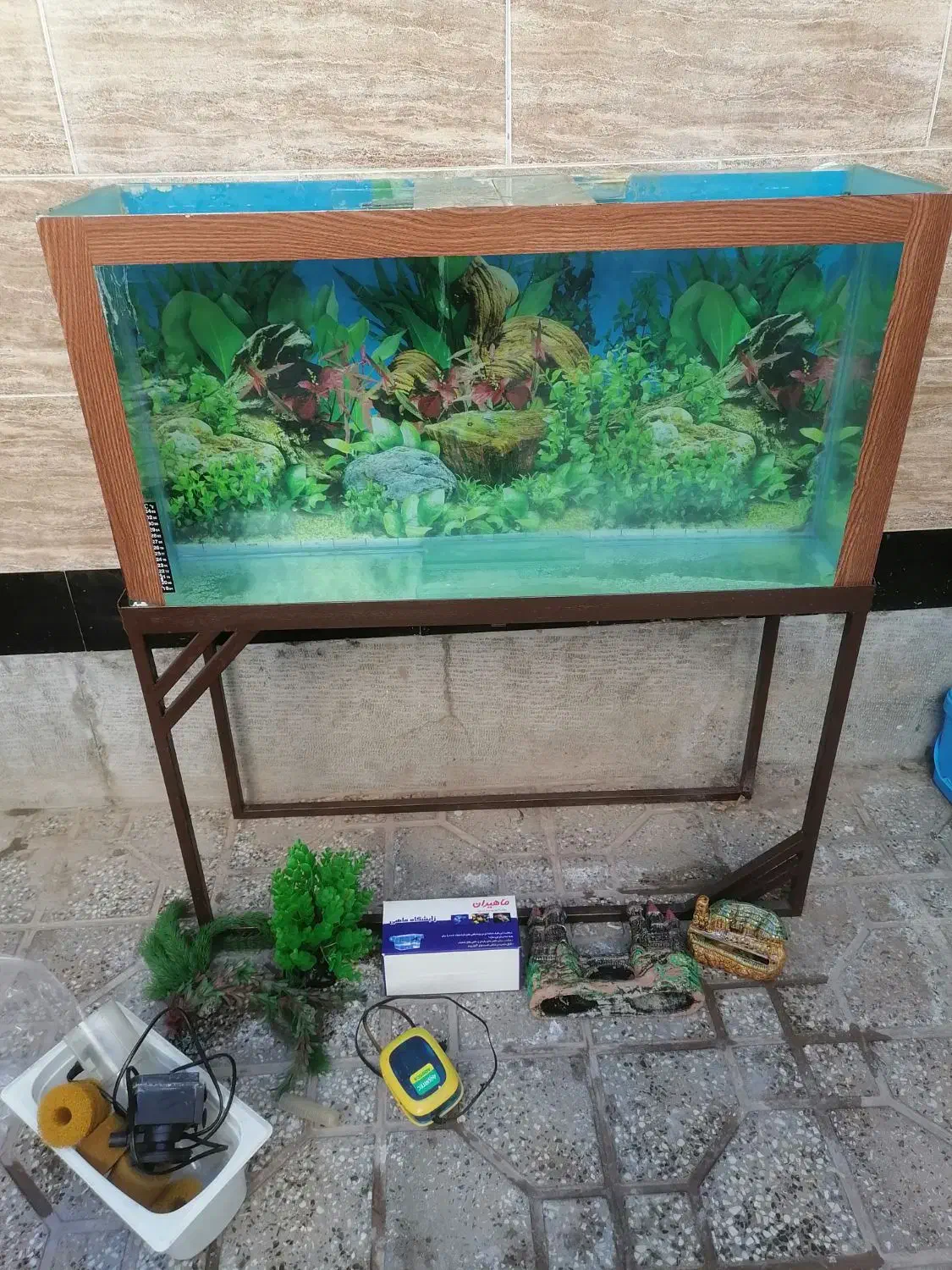 آکواریوم|ماهی|زرندیه, |دیوار