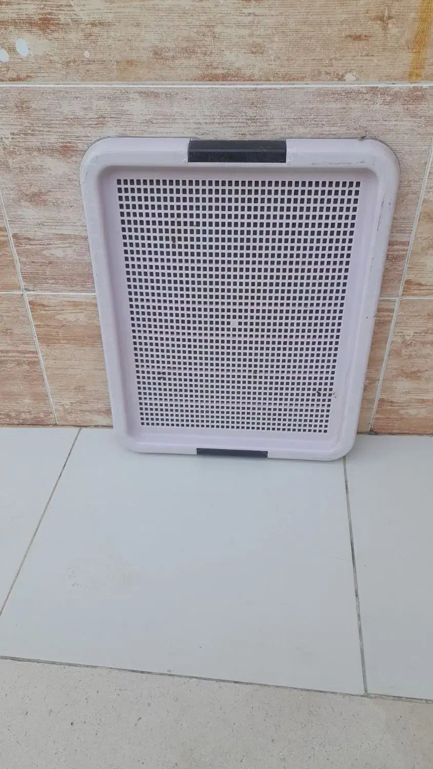 وسایل سگ خانگی به فروش میرسد|لوازم جانبی حیوانات|اصفهان, ارداجی|دیوار