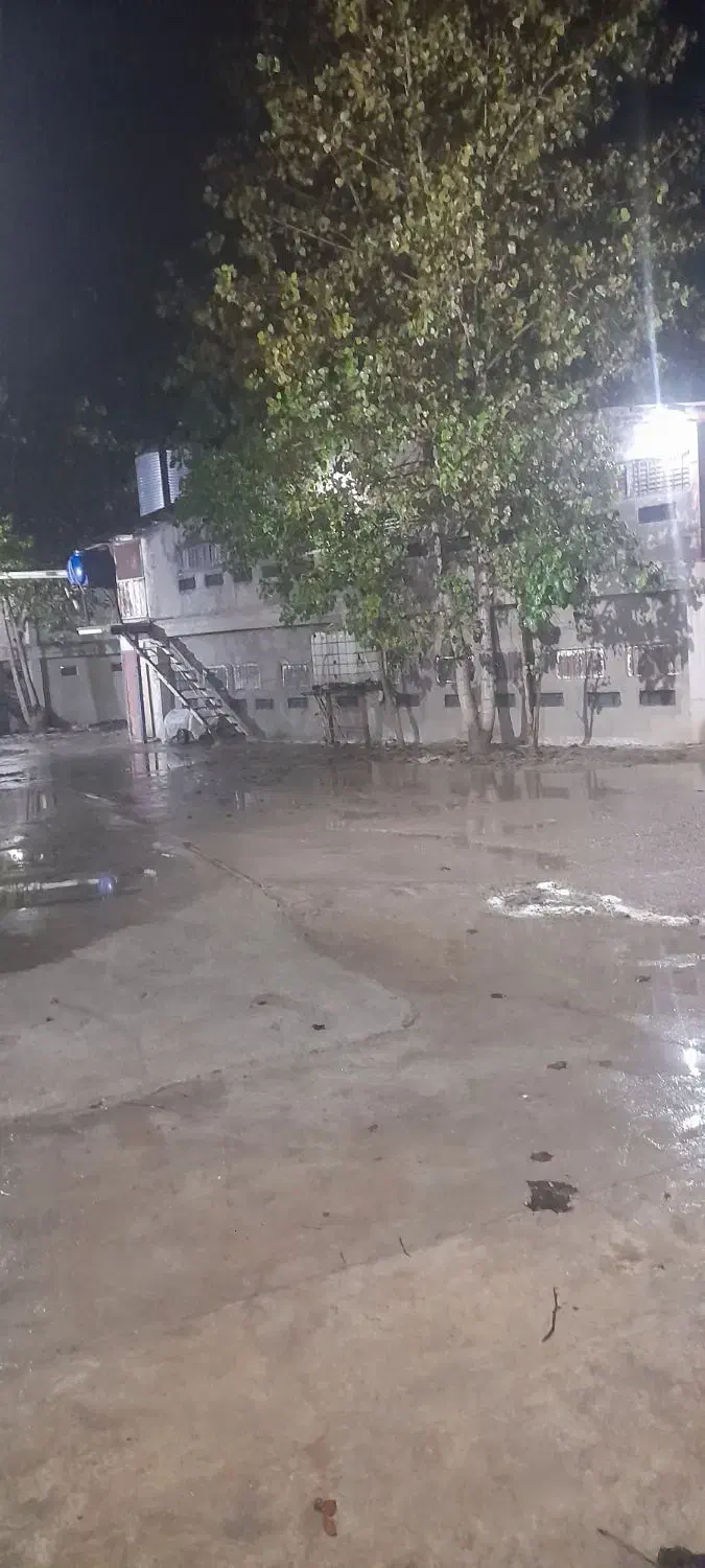 کار در مرغداری مکانیزه|استخدام صنعتی، فنی، مهندسی|صومعه‌سرا, |دیوار