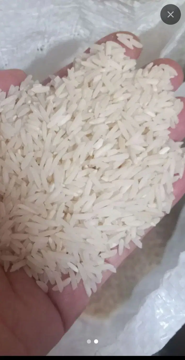 برنج دم سیاه|خوردنی و آشامیدنی|تهران, اختیاریه|دیوار