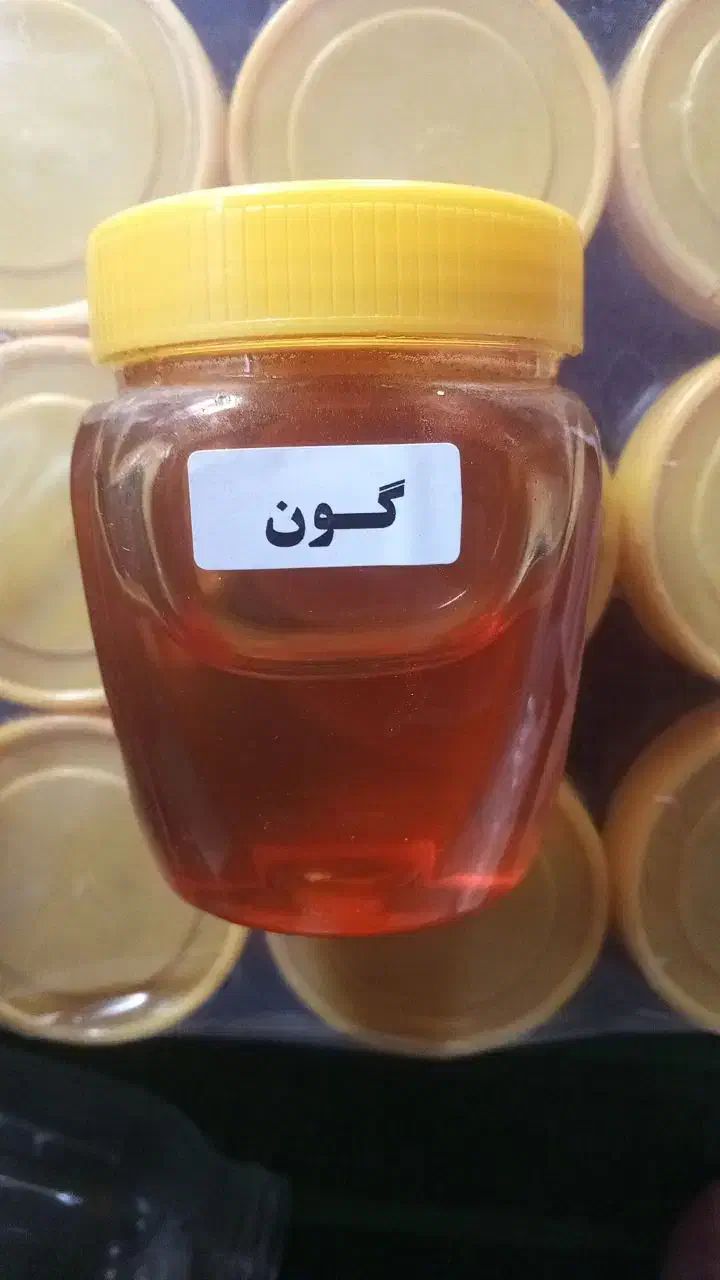 عسل های طبیعی گون،کوهستان،چندگیاه،دیابتی،جنگلی|خوردنی و آشامیدنی|پل سفید, |دیوار