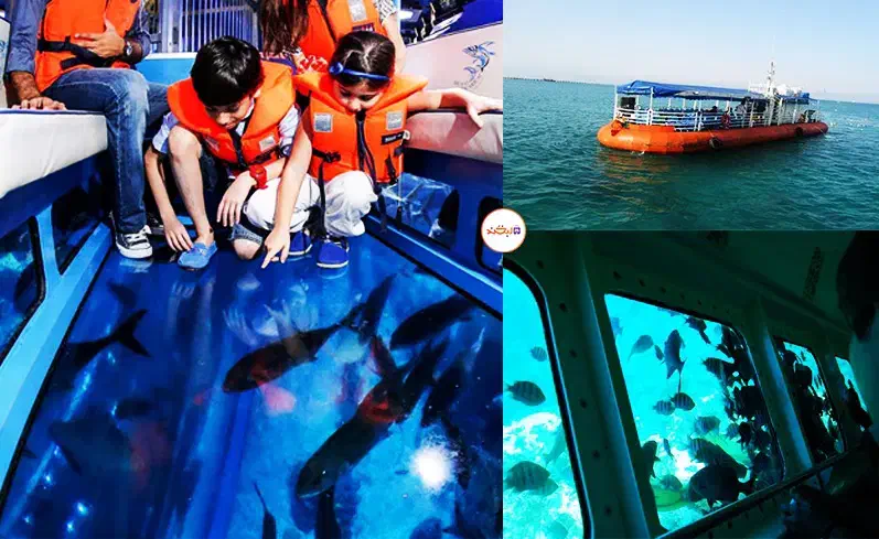 اکواریوم|تور و چارتر|کیش, |دیوار