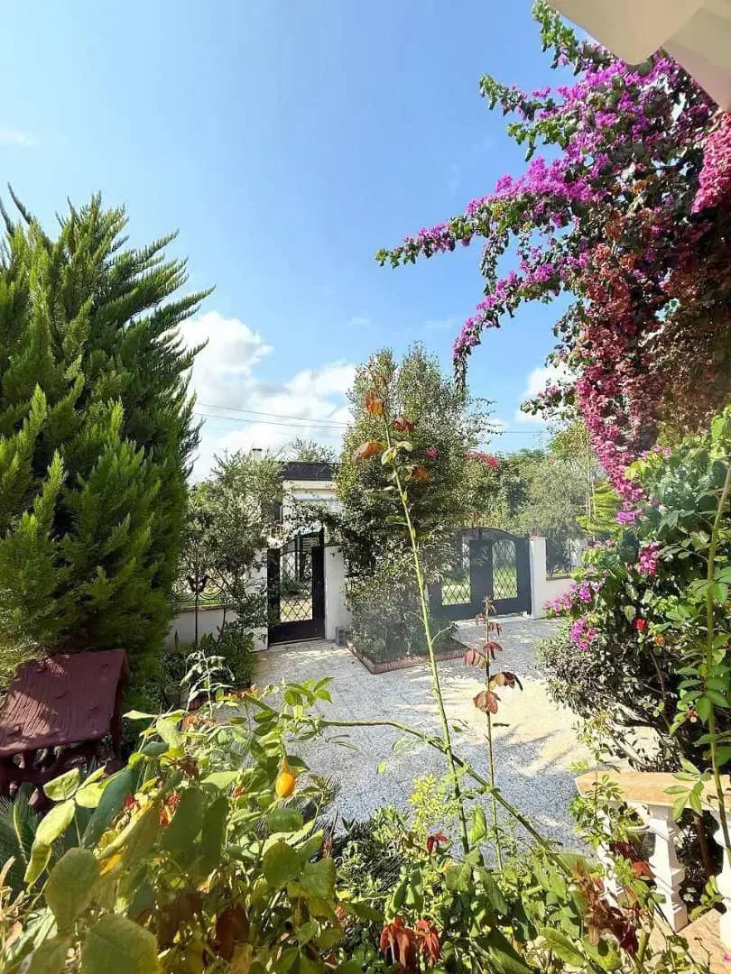 قشنگتر از این تو این رنج من ندیدم/فروش فوری/|فروش خانه و ویلا|نور, |دیوار