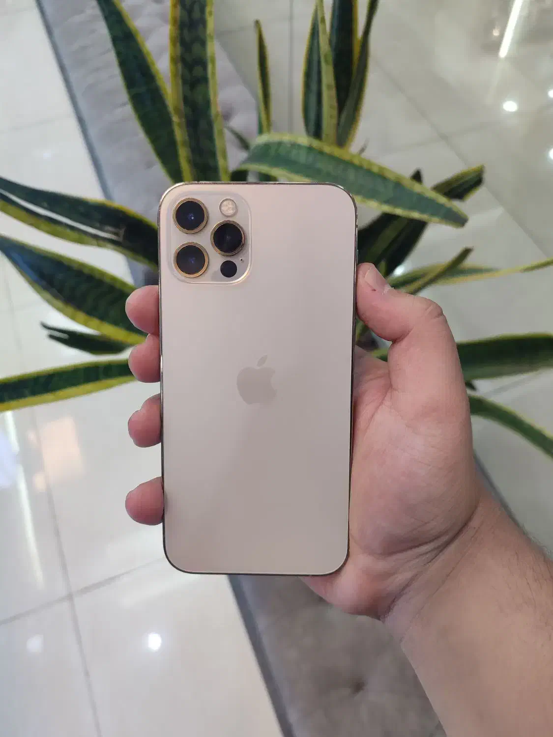 آیفون ۱۲ پرو  رنگ Gold|موبایل|اصفهان, مفتح|دیوار