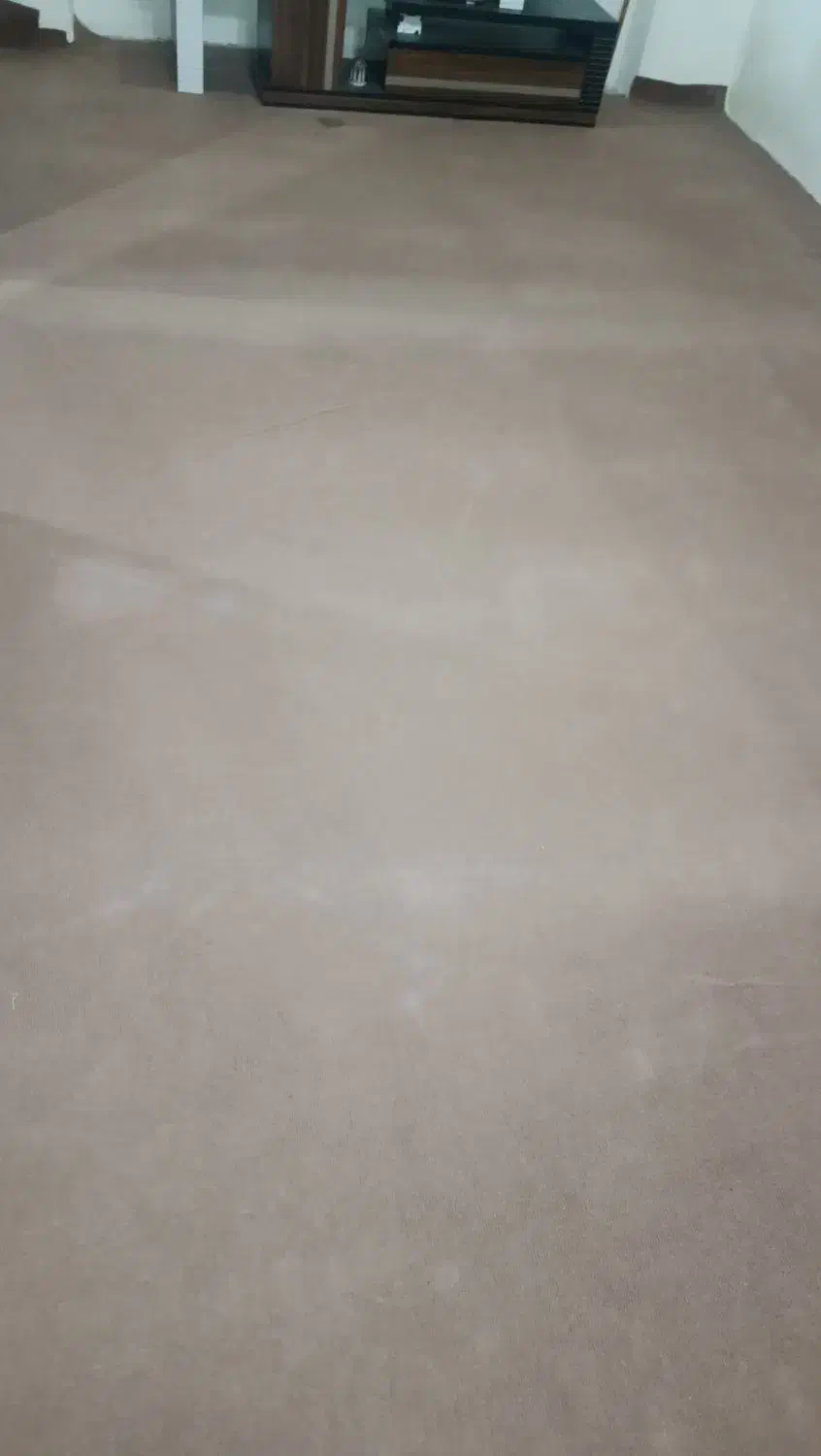 موکت سالم 15 متری|موکت|رشت, فلسطین|دیوار