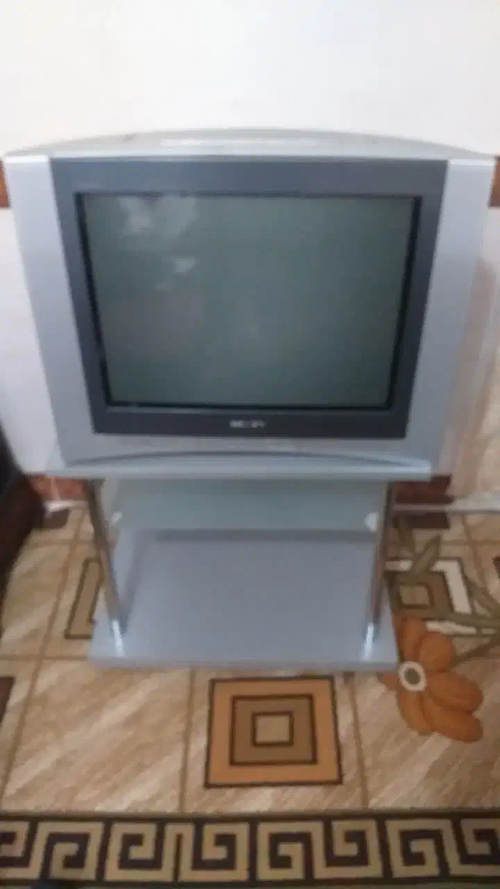 تلوزیون|تلویزیون و پروژکتور|تهران, شمیران‌نو|دیوار