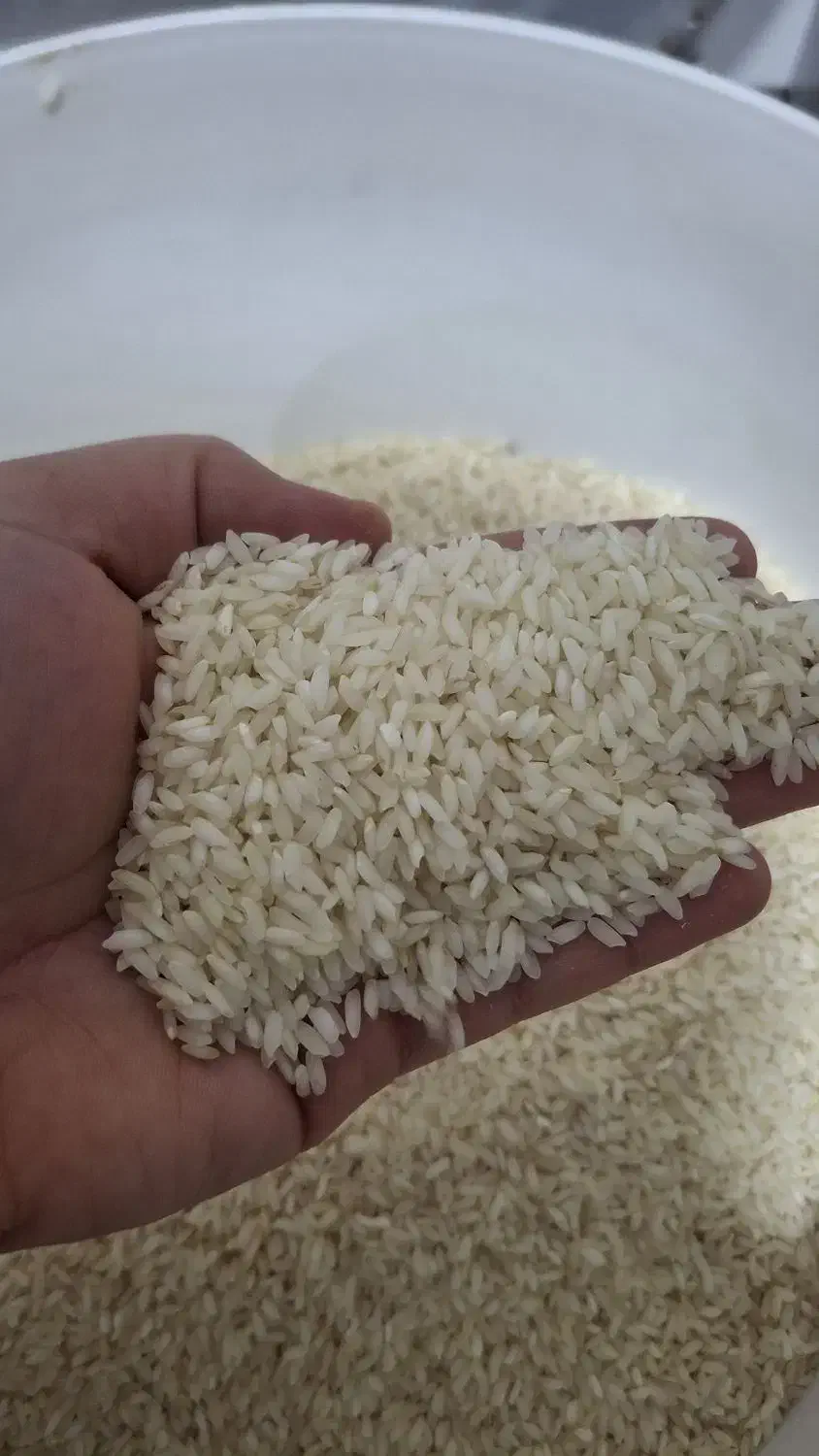 برنج|خوردنی و آشامیدنی|شوشتر, |دیوار