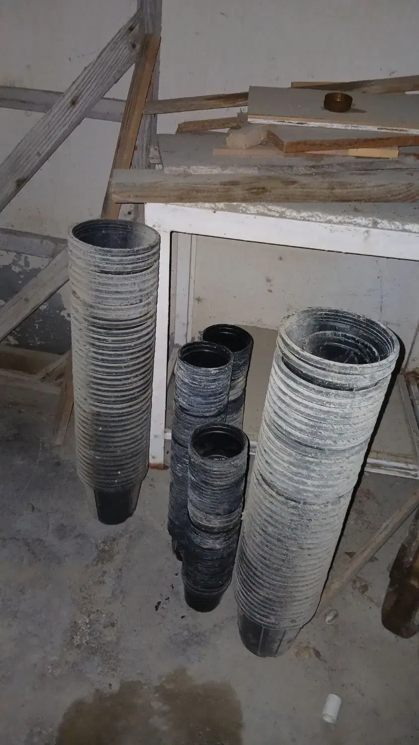 کاملا نو اصلا استفاده نشده|گل و گیاه طبیعی|کنارک, |دیوار