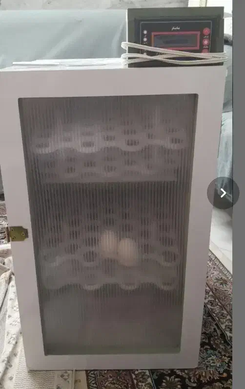 دستگاه جوجه کشی 168 تایی مرغ و بلدرچین و...|لوازم جانبی حیوانات|بیرجند, |دیوار