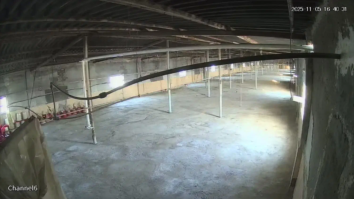 مرغداری 20/000 قطعه ایی|فروش دفتر صنعتی، کشاورزی، تجاری|آبادان, |دیوار