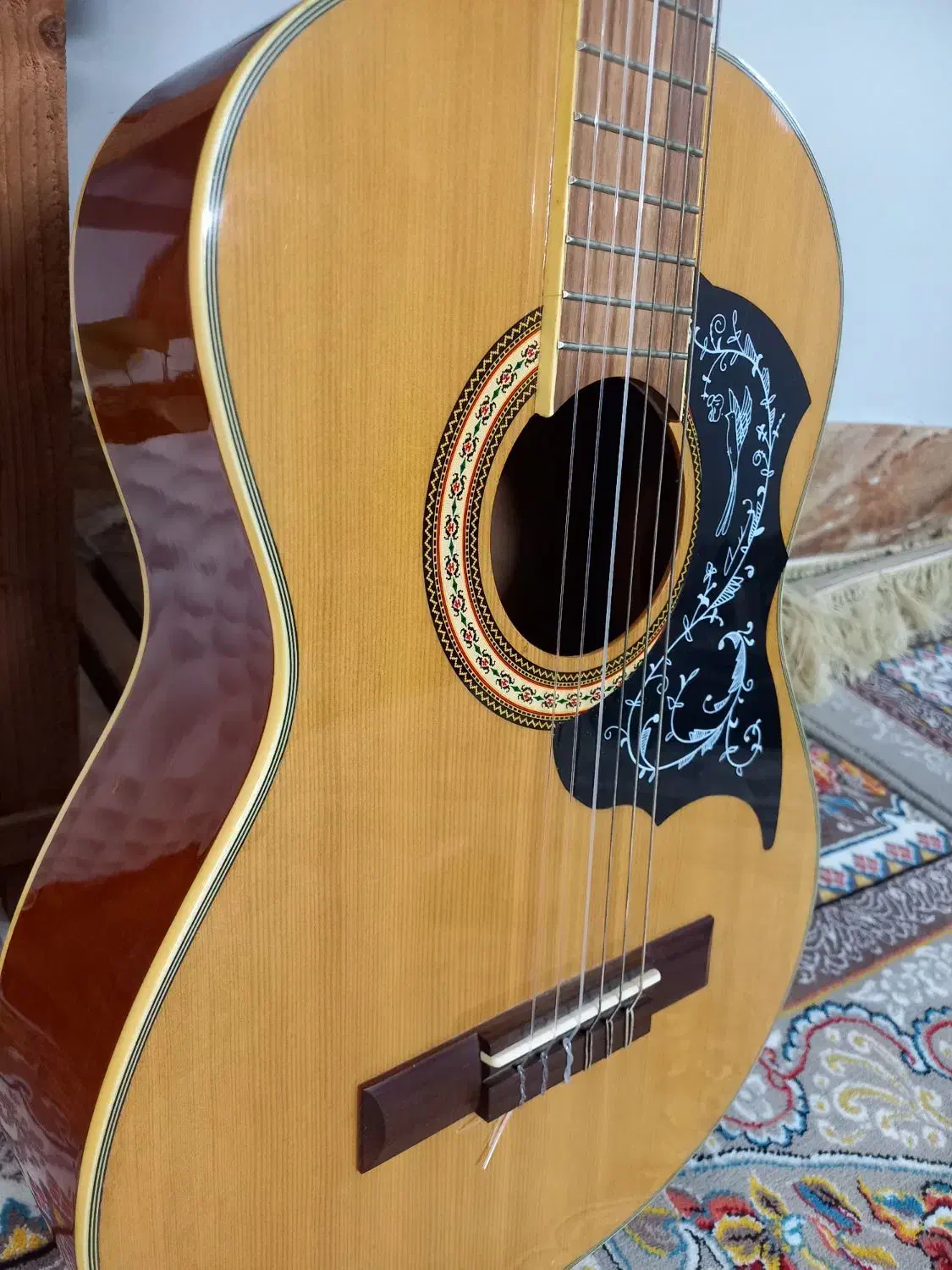 گیتار سانتانا|گیتار، بیس، امپلیفایر|بجنورد, |دیوار