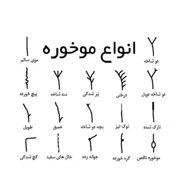 موخوره گیری روسی بدون کوتاهی از قد مو|خدمات آموزشی|بروجرد, |دیوار