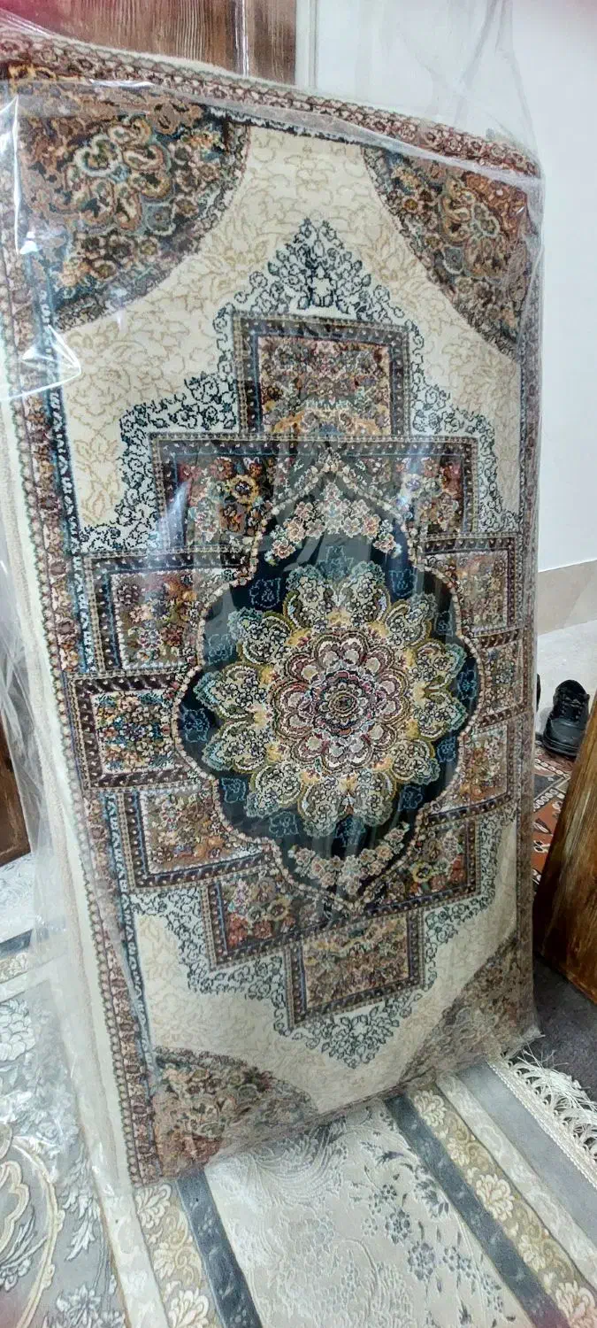 ۴ عدد پشتی|پشتی|شیراز, شهرک سعدی|دیوار