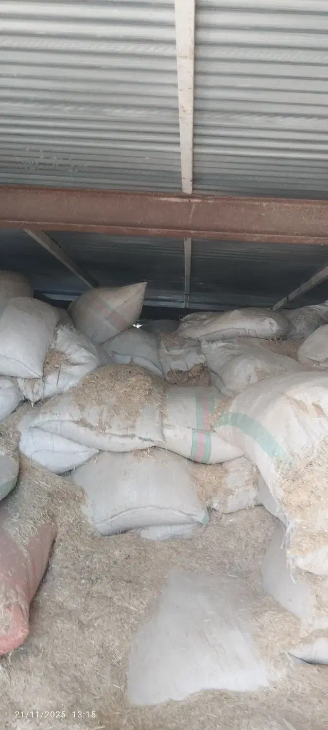 کاه گندم|حیوانات مزرعه|چگنی, |دیوار