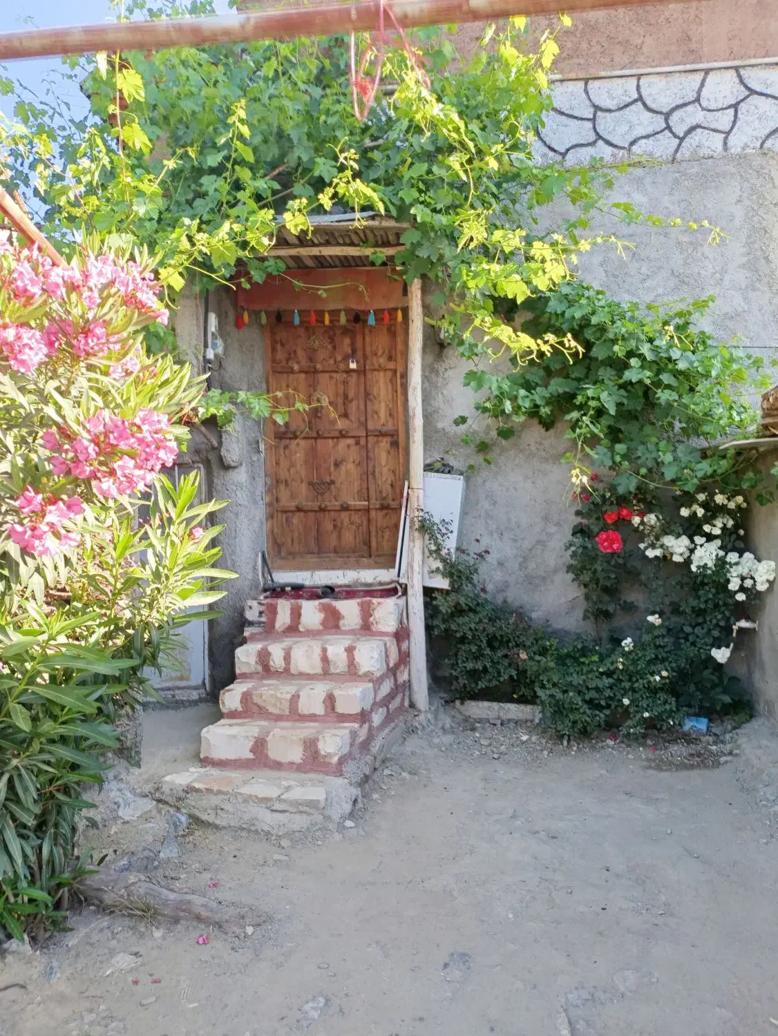 اقامتگاه و سویت ویلا|اجارهٔ کوتاه‌مدت ویلا و باغ|خاو و میرآباد, |دیوار